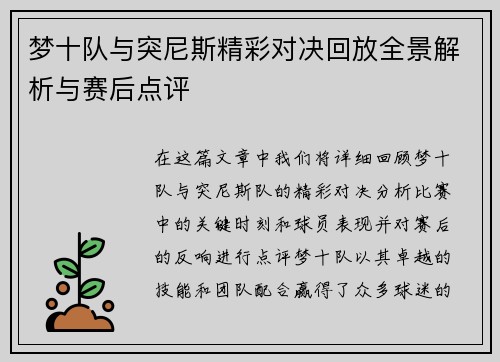 梦十队与突尼斯精彩对决回放全景解析与赛后点评