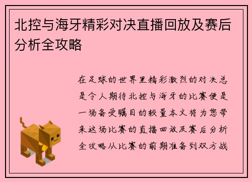 北控与海牙精彩对决直播回放及赛后分析全攻略